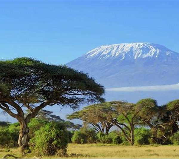 Best time to climb Kilimanjaro