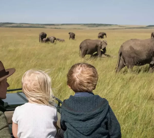 Family watching elephant herd Tanzania family safari Tarangire National Park