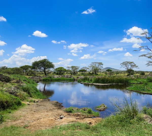 11 Smart Safari Travel Deals and Discounts for USA Tourists in 2027, 2028 & 2029