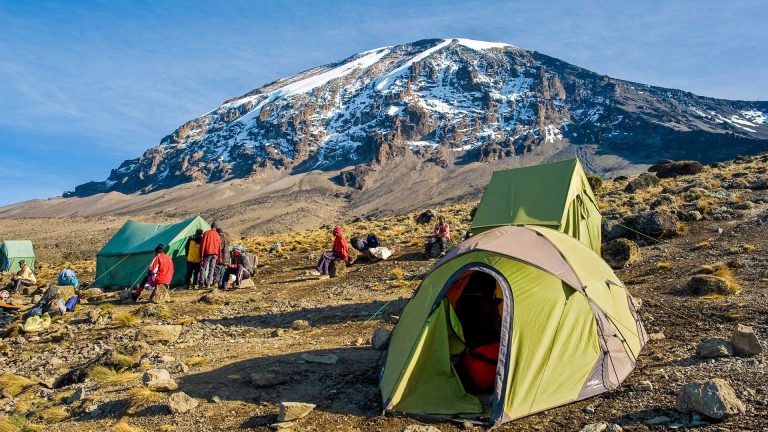 machame-vs-lemosho-route