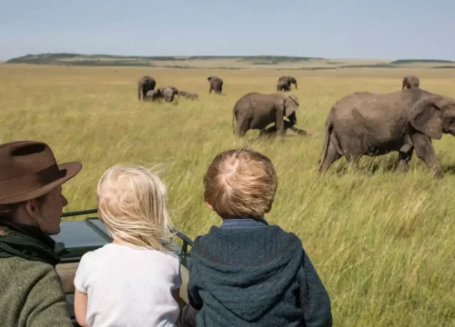 Best Time to Visit Africa for a Safari: 12 Powerful Seasonal Tips