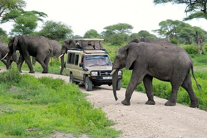 Safari vehicle on a Tanzania game drive