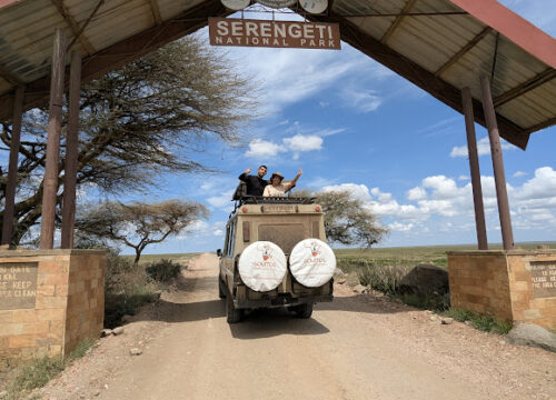 Private Safaris in Tansania: 9 exklusive Vorteile für Ihre Reise