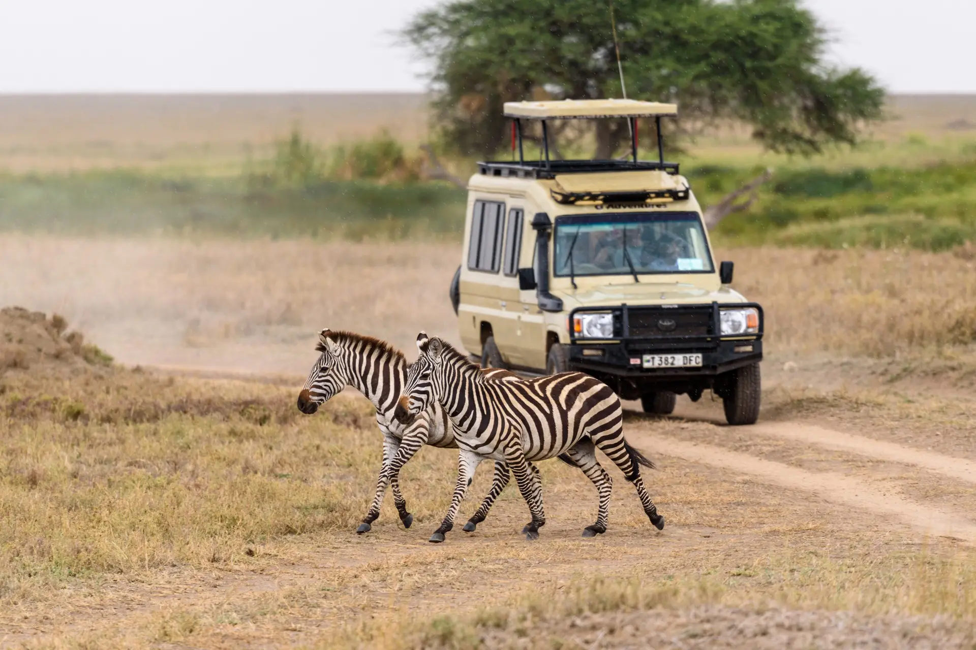 3-Day Tanzania Safari Adventure