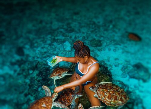 15 Amazing Activities in Zanzibar Island for Every Traveller