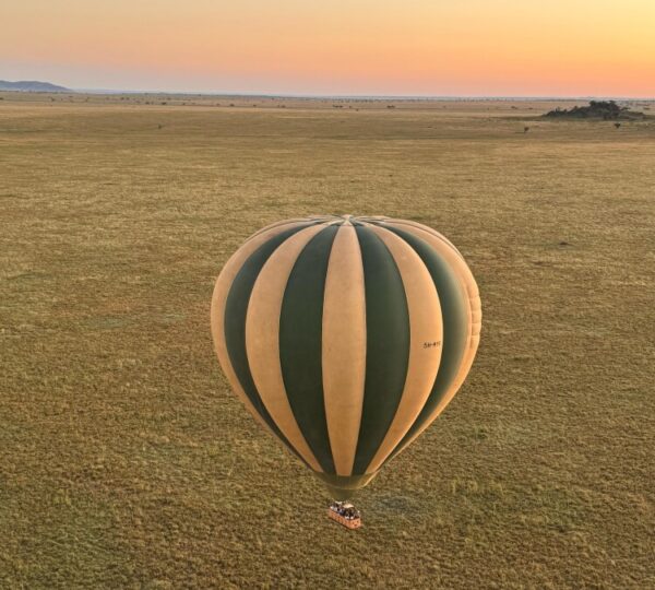 Best Hot Air Balloon Flights in Tanzania: Serengeti and Tarangire