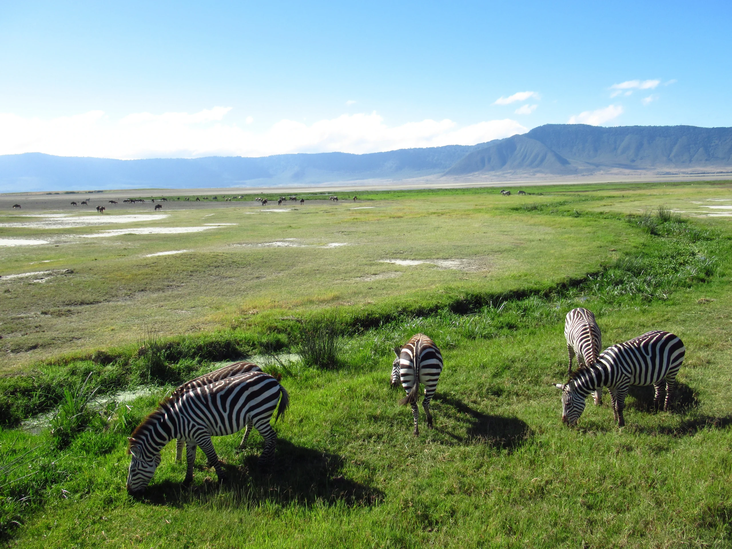 Best 5-Day Tanzania Volunteer & Wildlife Photography Experience 2027, 2028 & 2029