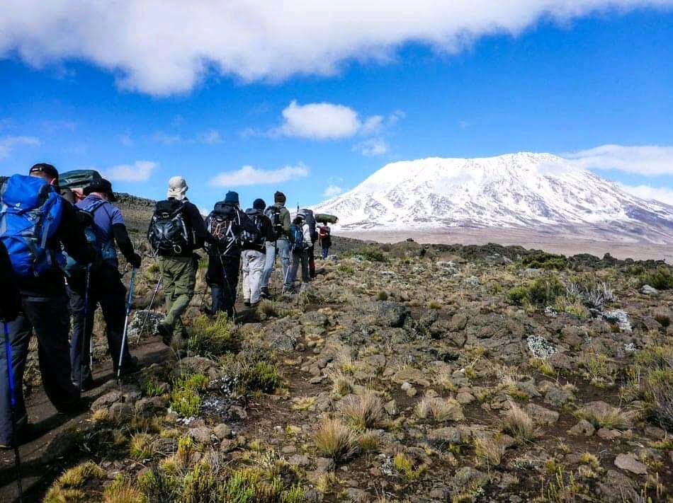 Climbers trekking Mount Kilimanjaro