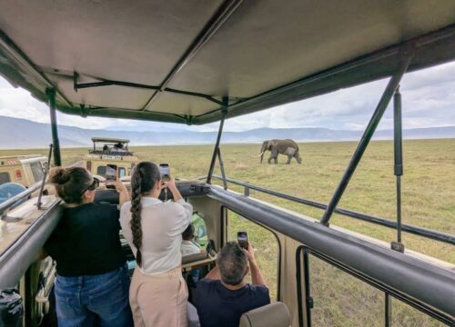 Serengeti Safari & Sansibar Kombination: 10 traumhafte Reisetage