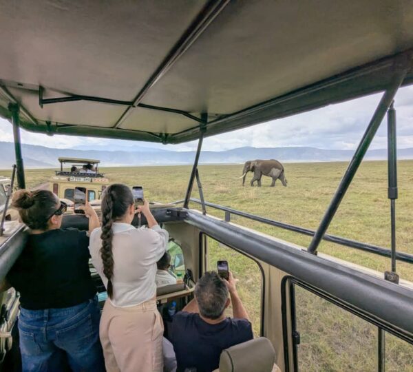 Serengeti Safari & Sansibar Kombination: 10 traumhafte Reisetage