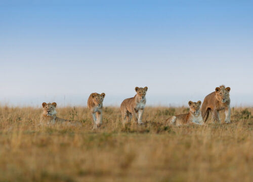 Serengeti National Park